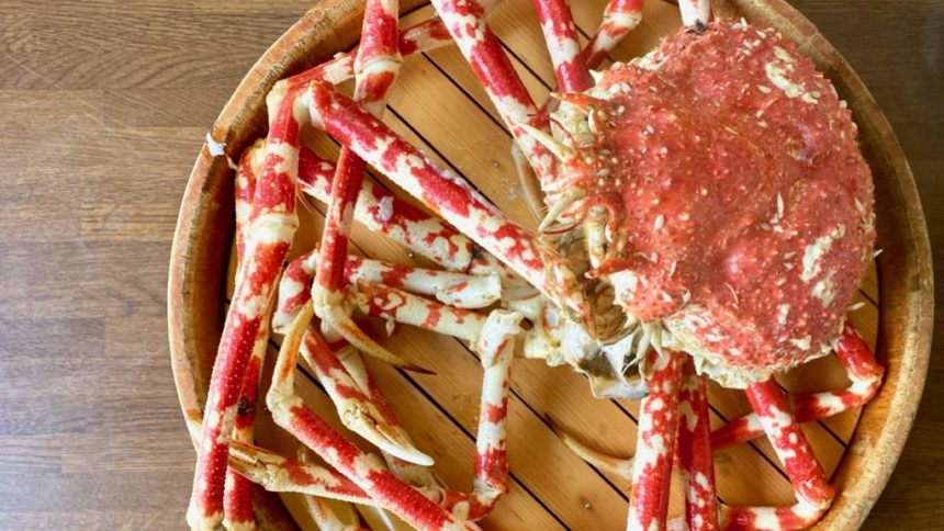 世界最大の蟹 タカアシガニ を食べた話 アカヌマカズヤのグルメブログ